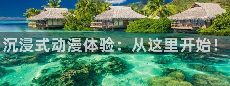 国漫同人动漫在线免费